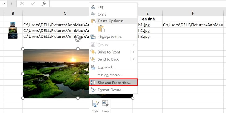 Trung tâm tin học văn phòng ở Thanh Hóa Chèn ảnh vào Excel bằng cách thủ công Chèn nhiều ảnh cùng lúc vào ô Excel Cố định ảnh trong Excel