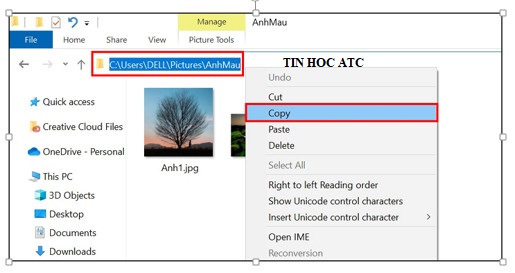 Học tin học ở thanh hóa Có nhiều cách để chèn ảnh vào excel, hôm nay tin học ATC xin chia sẽ đến bạn đọc 2 cách dễ áp dụng sau đây, mời bạn 