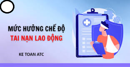 Học kế toán ở thanh hóa Để đảm bảo quyền lợi cho người lao động nhà nước đã quy định hàng tháng người sử dụng lao đọng phải đóng