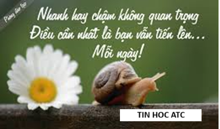 Học tin học văn phòng tại Thanh Hóa Đây là câu nói nhấn mạnh sự quan trọng của tính kiên trì, nổ lực mỗi ngày để có thể đạt được điều 