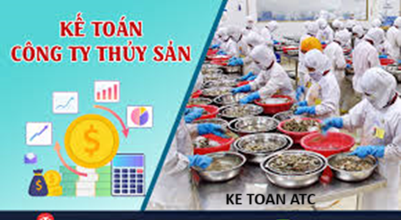 Hoc ke toan thuc te o thanh hoa Bài viết hôm nay chúng ta cùng tìm hiểu về các vấn đề liên quan đến kế toán thủ hải sản,mời các bạn tham 