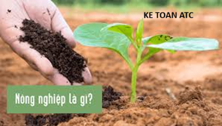 Trung tâm kế toán tại thanh hóa Công việc của kế toán trồng trọt là gì? Chúng ta cùng tìm hiểu ngay dưới đây nhé!I. Các nghiệp vụ kinh tế 